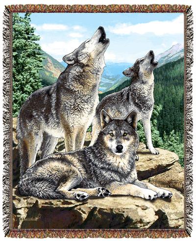 size frame 54 wildlife Wolves, Wolves & cotton wolf Timeber throw