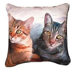 cats sleeping on pillows